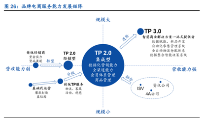 电商代运营行业深度报告 行业资本化加速，线上渠道红利与数字内容制作服务崛起